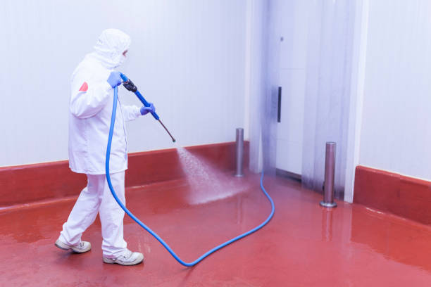Trusted Clifton, CO Pressure Washing Services Experts